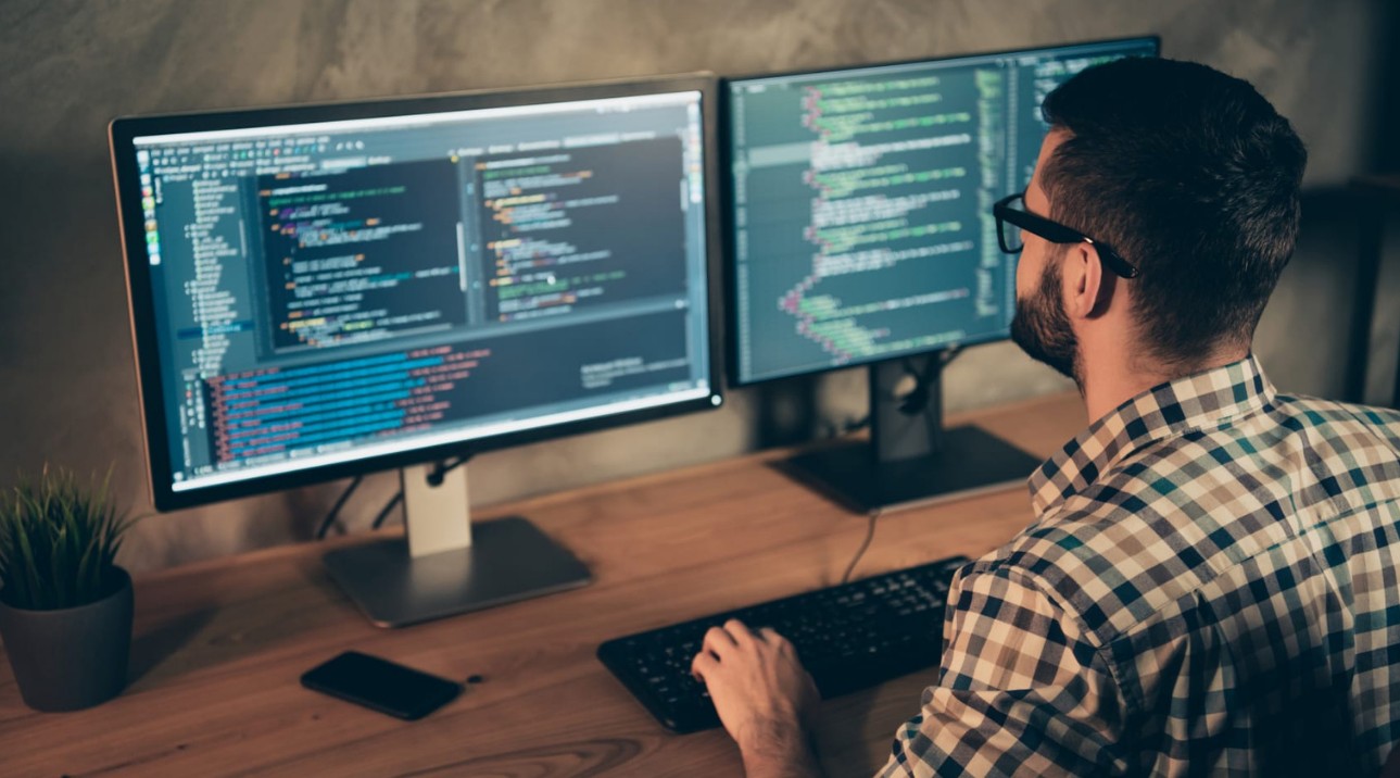 Professional Diploma in Software Engineering - EduGaon IT Training