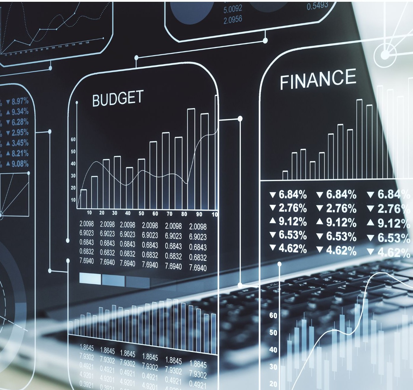 Flutter Developer Image